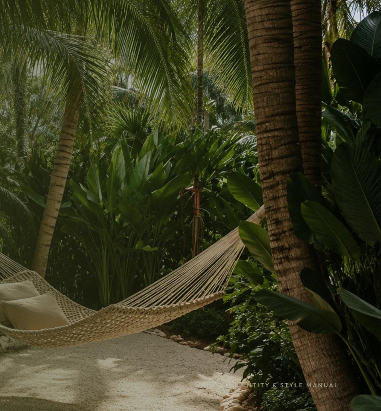 A hammock strung between palms in dappled island light